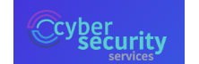 Cyber Security Services - Array Cyber Security Services